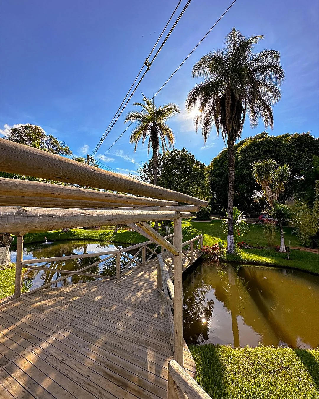 Deck de madeira sobre o lago com palmeiras ao fundo